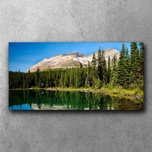 Canvas bild leinwand bilder - canvas,