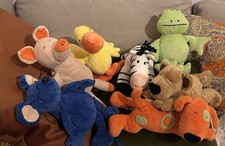 Die lieben Sieben Zebra Hund