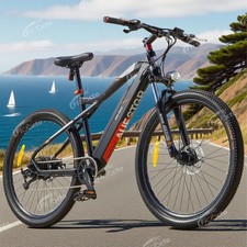 29 Zoll E-Bike M920 250W