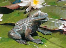 Bronzefigur Frosch 11cm Bronze