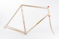 MASI GRAN CRITERIUM VINTAGE