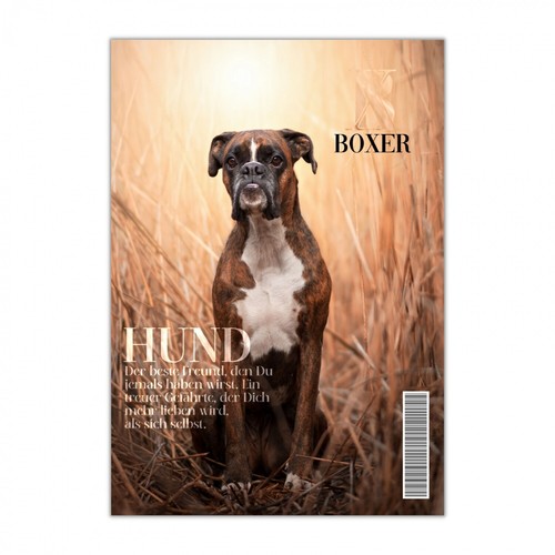 Boxer schild dog - dog, magazin