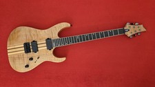 E Gitarre, Schecter Banshee