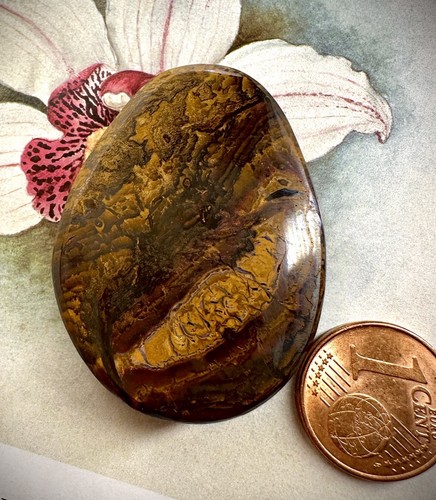 Boulder opal für edelstein - opal,