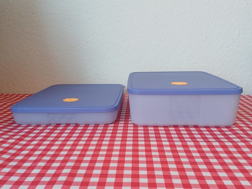 Tupperware eiszeit - eiszeit, *