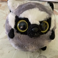 Waschbär – Glubschi -