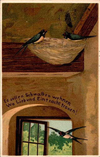 Tier tiere vogel vögel - ak,