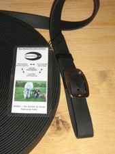 BioThane Zweispännerleinen