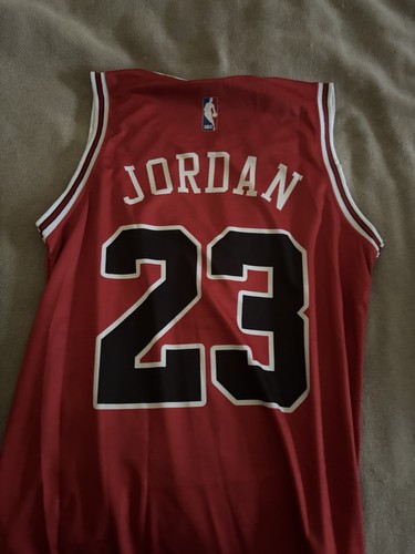 Champion chicago bulls - champion,