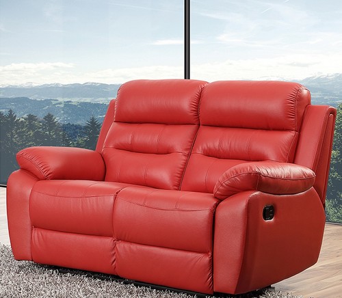Leder sitzer fernsehsofa - 2-sitzer,