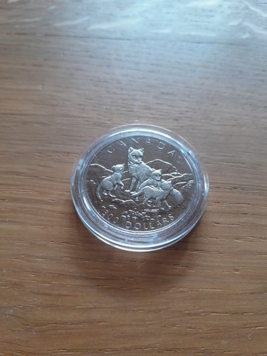 Platin 300 dollar - platin,,