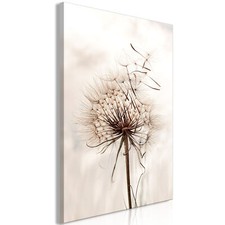 Pusteblume natur pflanzen - pusteblume,