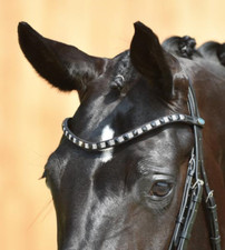 Full / Warmblut Trense von