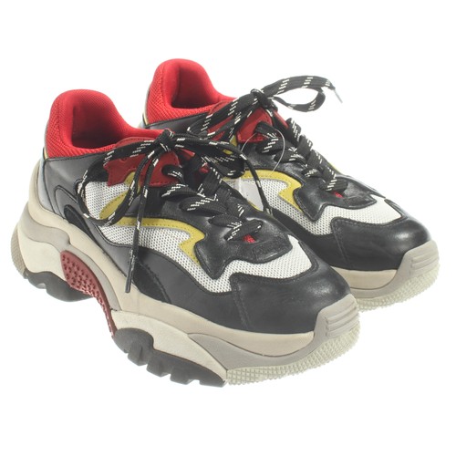 Ash sneaker eur mehrfarbig - ash,