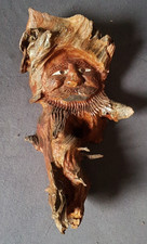 Waldgeist Wurzelsepp