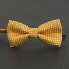 Fliege Hochzeit Dotted Anzug