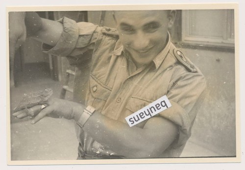 Foto dak deutsche afrikakorps - foto,