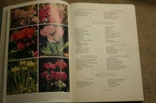 Buch Steingarten der sieben