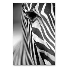 Postereck 0663 Poster Leinwand