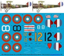 Peddinghaus 1/48 Salmson 2 A.2