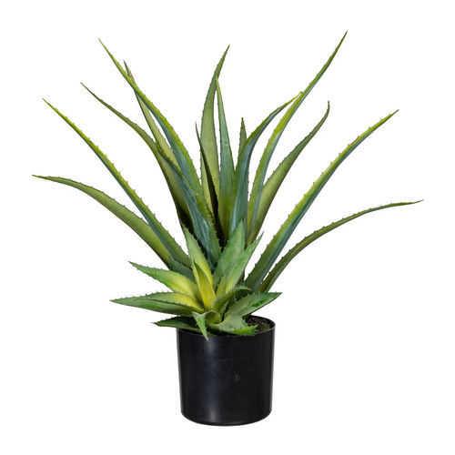 Kunstpflanze aloe vera höhe - vera,,