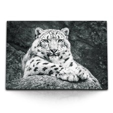 120x80cm Wandbild auf Leinwand