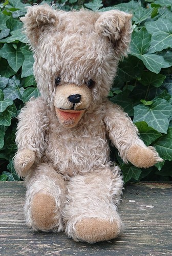 Alter teddy teddybär bär - teddybär,