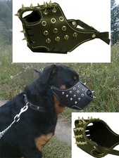 Leder maulkorb spitzkopfnieten - maulkorb,