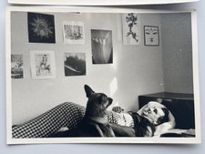 ? Set 2x Foto Mann im Bett Hund Schäferhund Retro Wandposter 60-70er 7x10