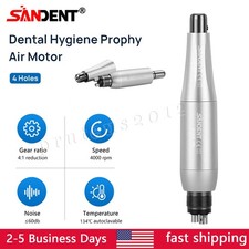 Dental Hygiene Prophy