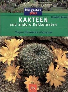 Kakteen und andere sukkulenten - kakteen,