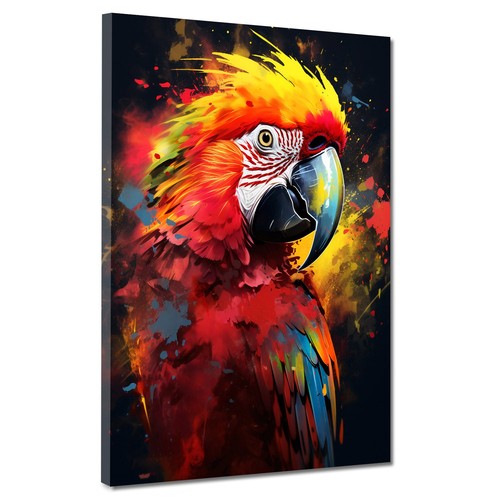 Papagei pop art colour - papagei,