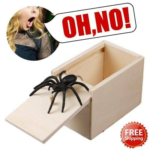 Spinne einer box streich - spinne, in