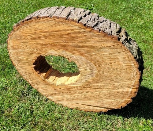 Baumscheibe von der - 🌳,