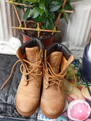 Panama jack boots 38 - boots, gr.