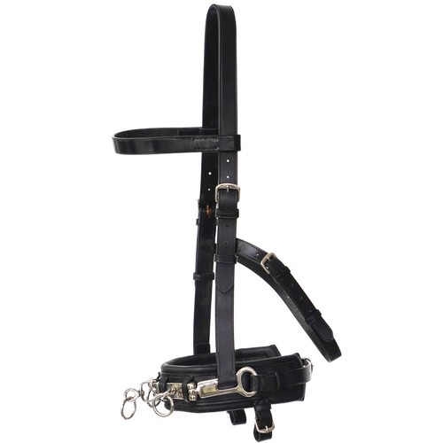 Sport kappzaum leder mit - kappzaum,