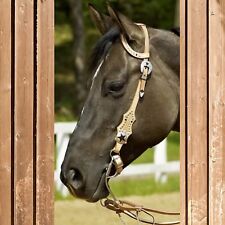 Wildhorn Einohr Kopfstück Tioga, Western Einohr Show Trense