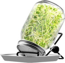 Keimglas mit deckel - keimglas,