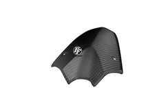 Carbon Frontverkleidung für