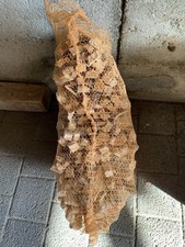 Anzündholz Anfeuerholz 6kg