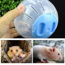:Hamster running ball