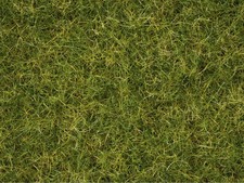 Noch 07072 Master-Grasmischung