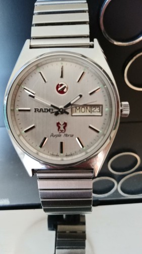 Rado purple horse day date - rado, day/date