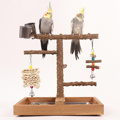 Birds holzsitzstangen - birds,