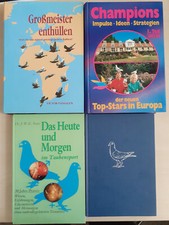 Tauben brieftauben zucht - tauben,