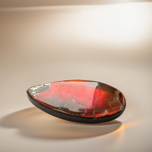 Ammolith fossilien cabochon - ammolith,