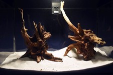 Aquarium Wurzel - SET / Scaperholz Slim Wood / Aquarium Deko / Aquascaping #307