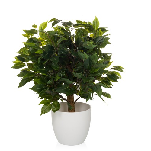 Kunstpflanze topf 65cm - im,