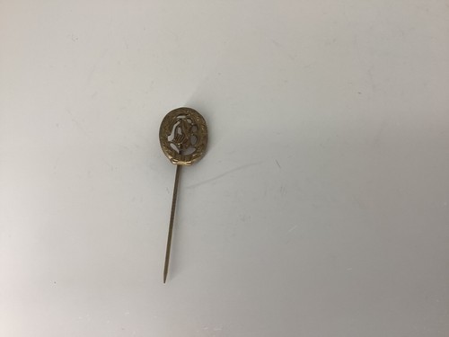 Anstecknadel goldene farbe dsb - farbe,