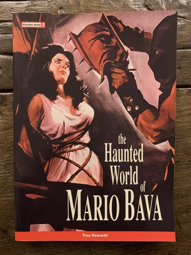 The haunted world mario - haunted,